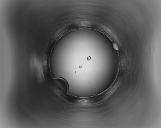 X0000100320265200806051523