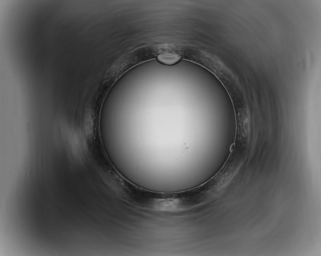 X0000100320266200806051523