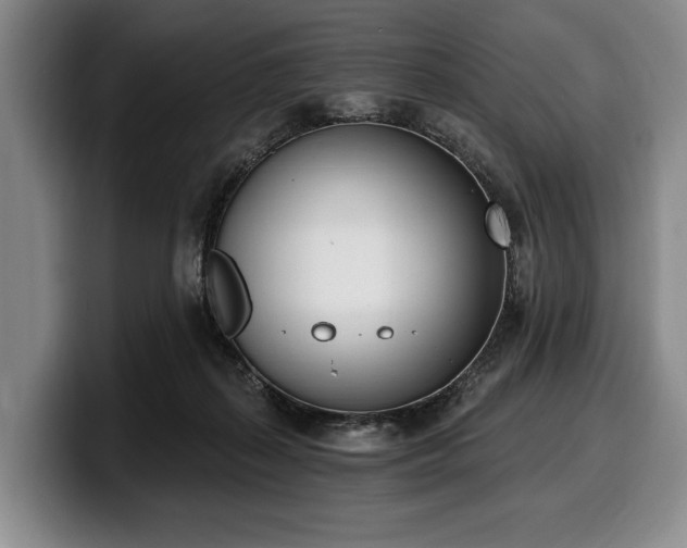 X0000100320267200806051523