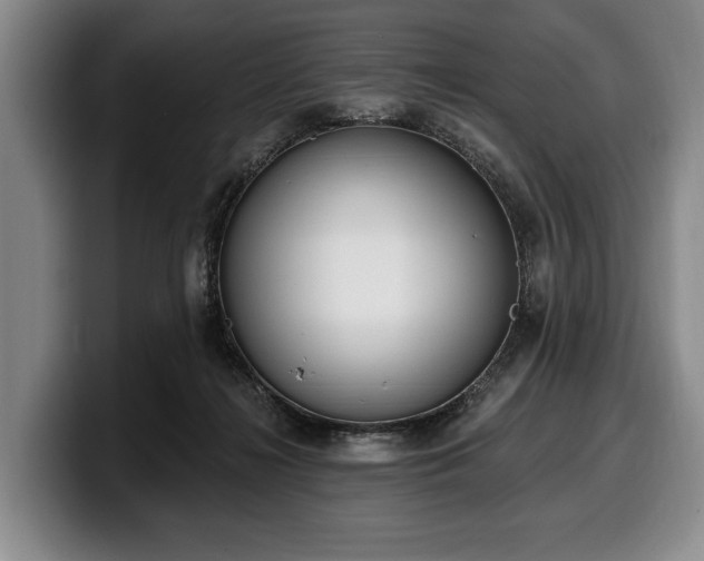 X0000100320268200806051523