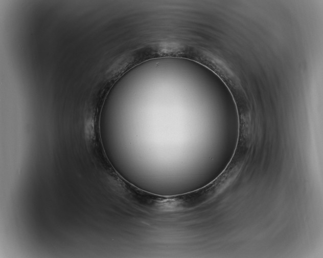 X0000100320269200806051523