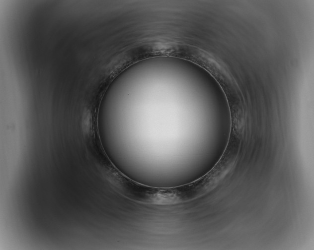 X0000100320270200806051523