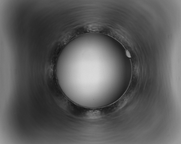 X0000100320271200806051523