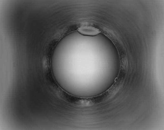 X0000100320272200806051523