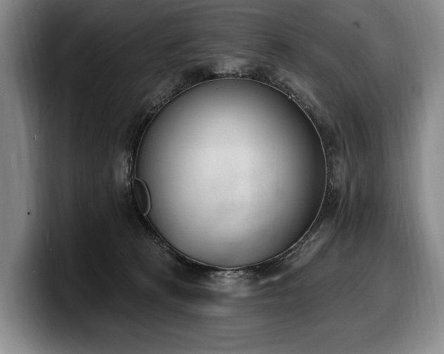 X0000100320273200806051523