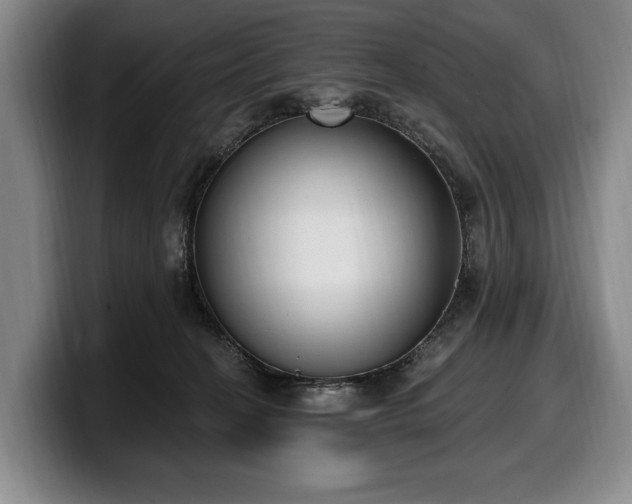 X0000100320274200806051523