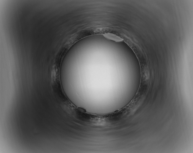 X0000100320276200806051523