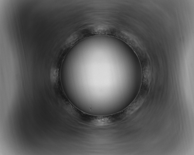 X0000100320278200806051523