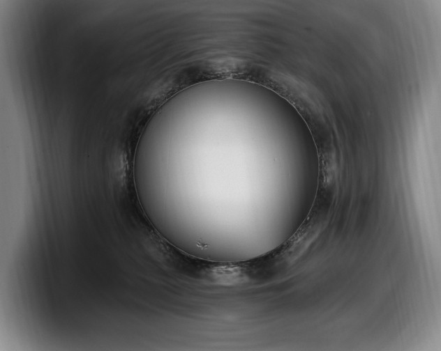 X0000100320279200806051523