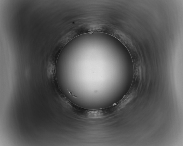 X0000100320281200806051523