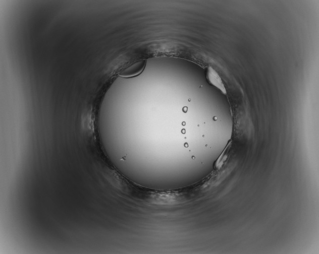 X0000100320282200806051523