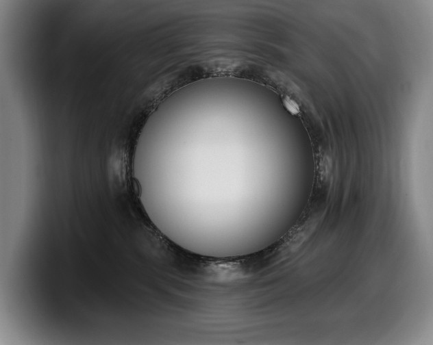 X0000100320283200806051523