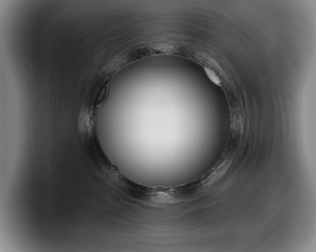 X0000100320285200806051523