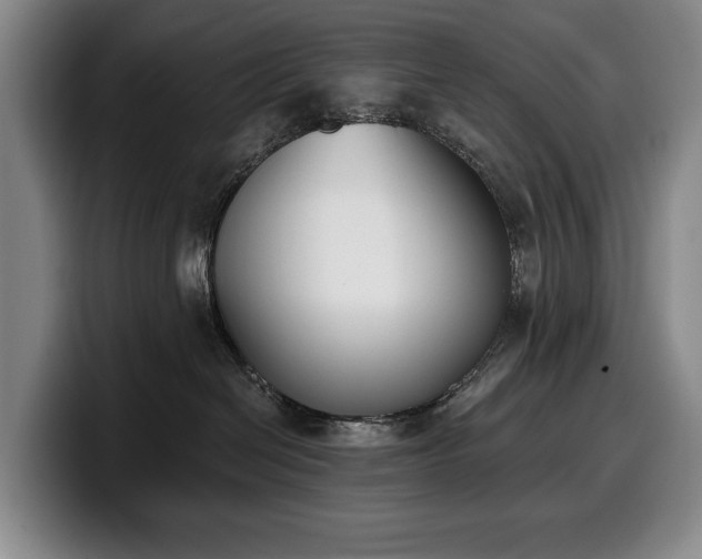 X0000100320286200806051523