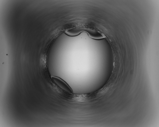 X0000100320288200806051523