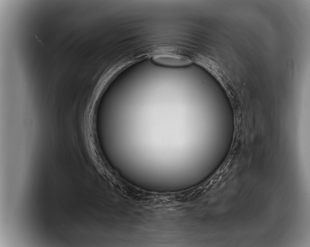 X0000100320289200806051523