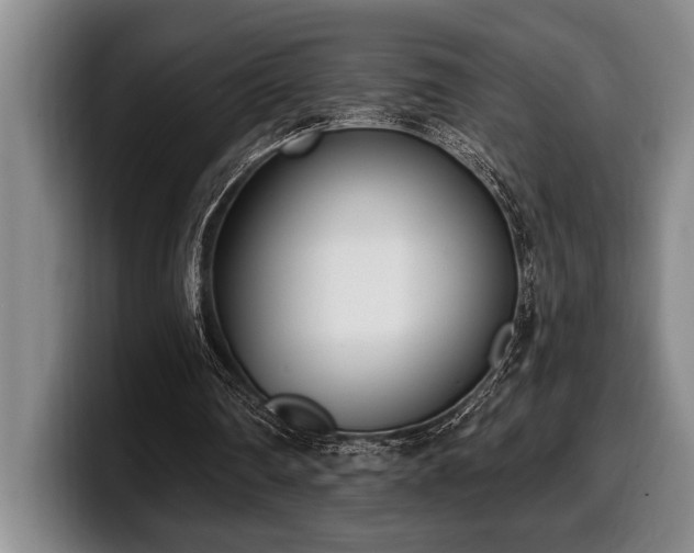 X0000100320290200806051523