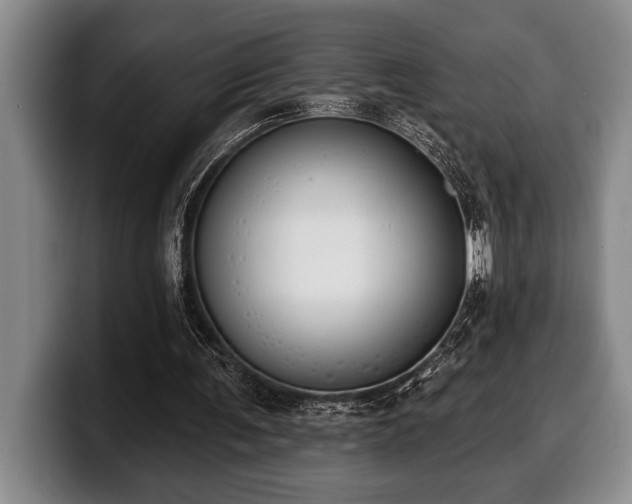 X0000100320291200806051523