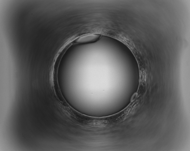 X0000100320292200806051523