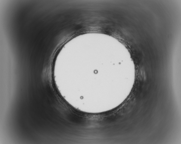 X0000100320293200806051523