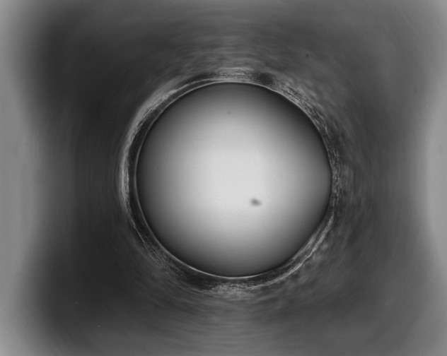 X0000100320294200806051523