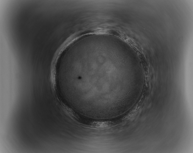 X0000100320295200806051523