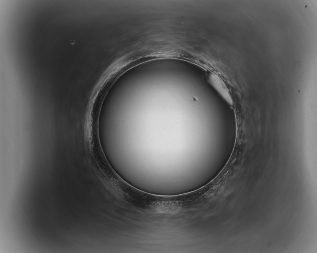 X0000100320296200806051523