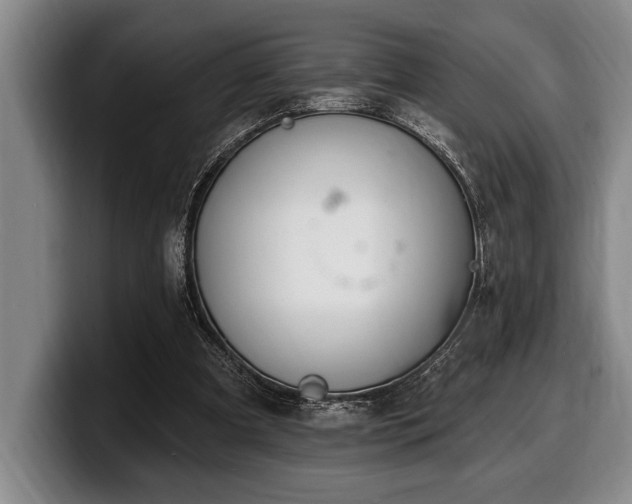 X0000100320297200806051523