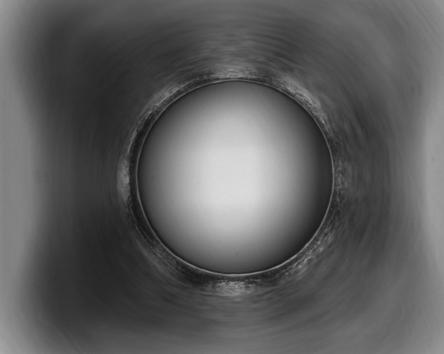 X0000100320298200806051523