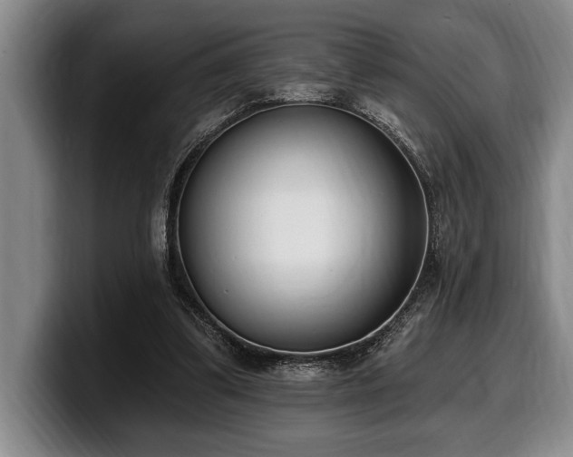 X0000100320299200806051523