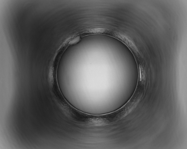 X0000100320300200806051523