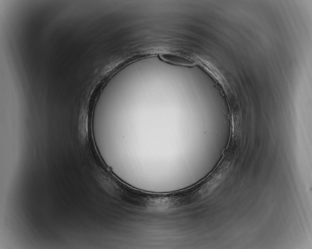 X0000100320301200806051523