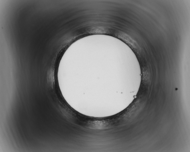 X0000100320302200806051523