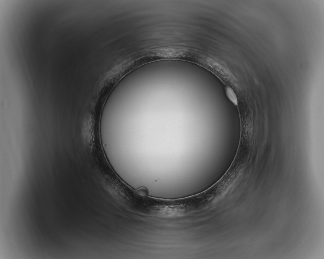 X0000100320303200806051523