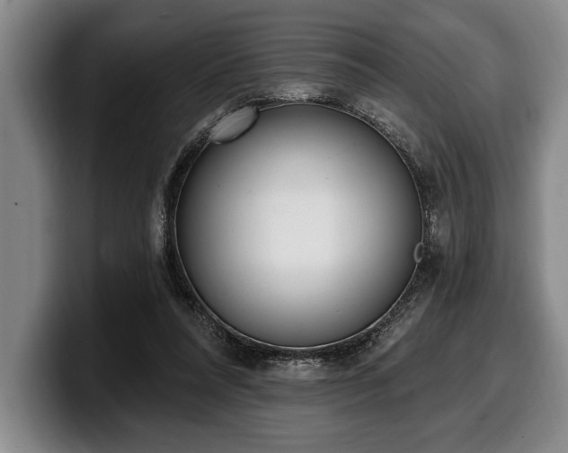 X0000100320304200806051523