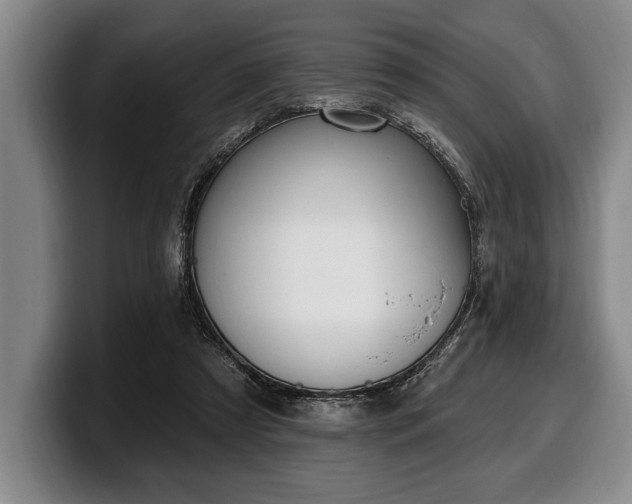 X0000100320305200806051523