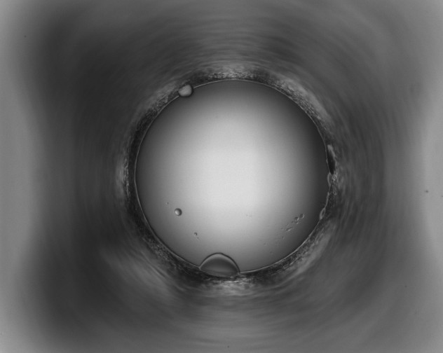 X0000100320306200806051523