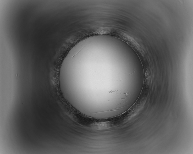 X0000100320307200806051522