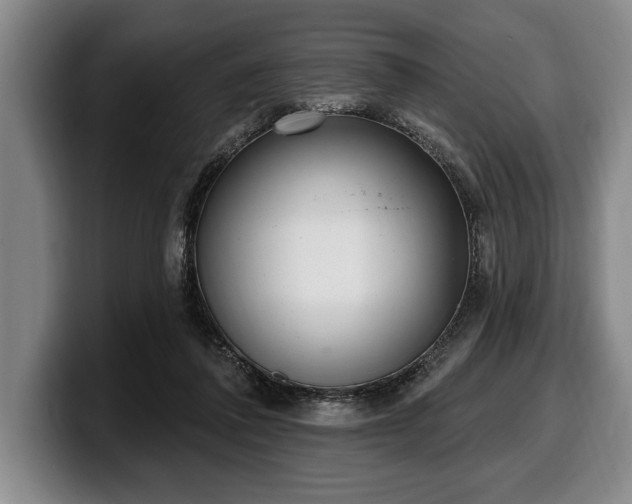 X0000100320308200806051522