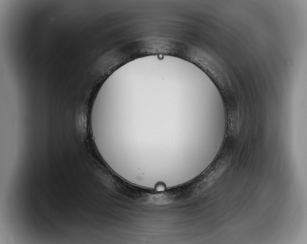 X0000100320309200806051522