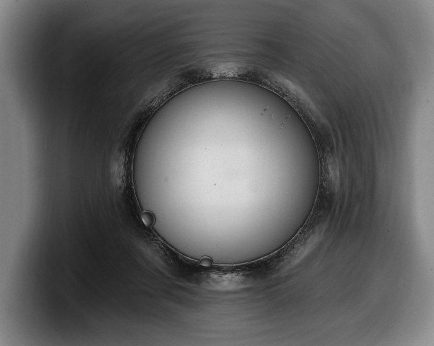 X0000100320311200806051522