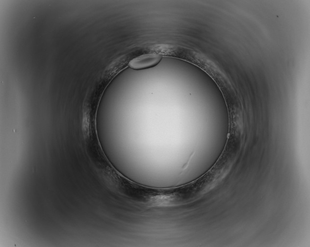 X0000100320312200806051522