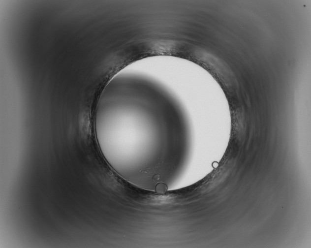 X0000100320313200806051522