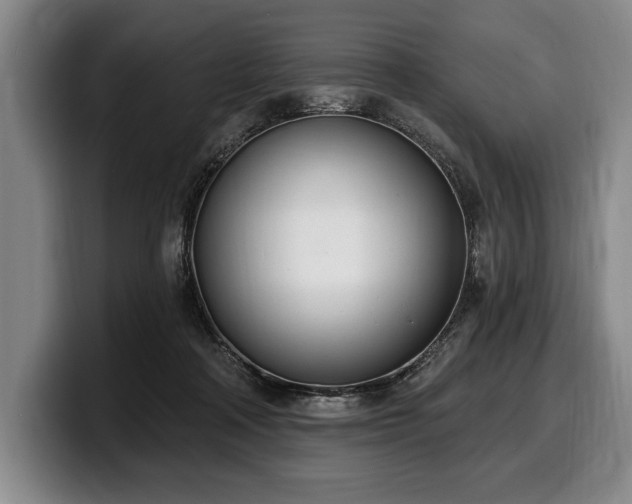 X0000100320314200806051522