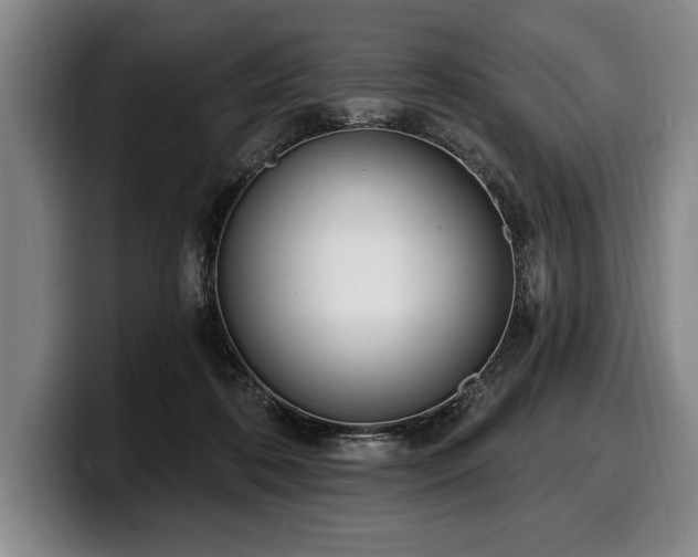 X0000100320316200806051522