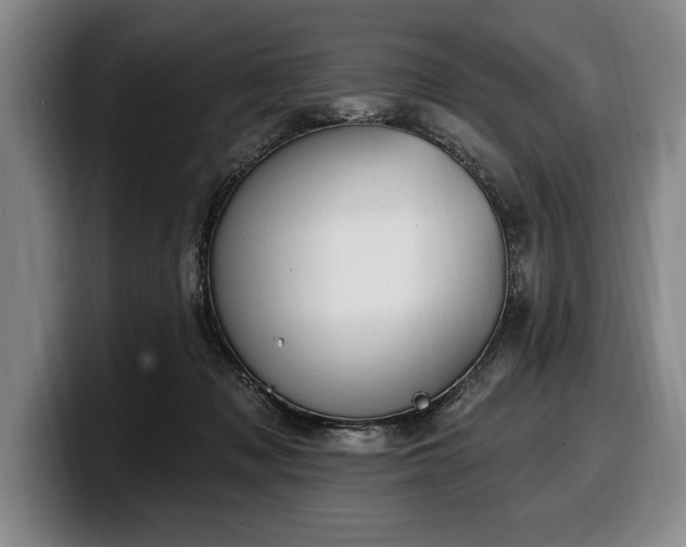 X0000100320317200806051522