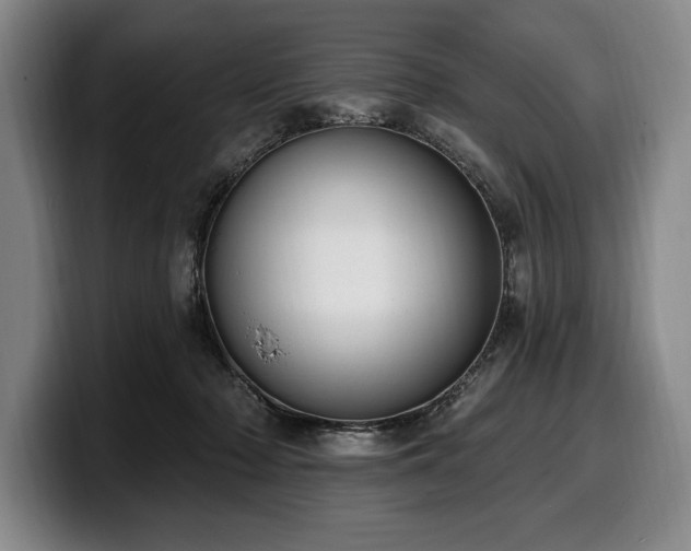 X0000100320318200806051522