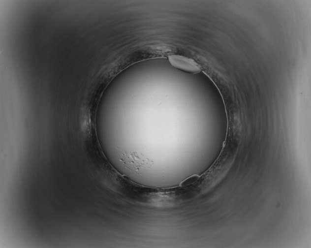 X0000100320320200806051522