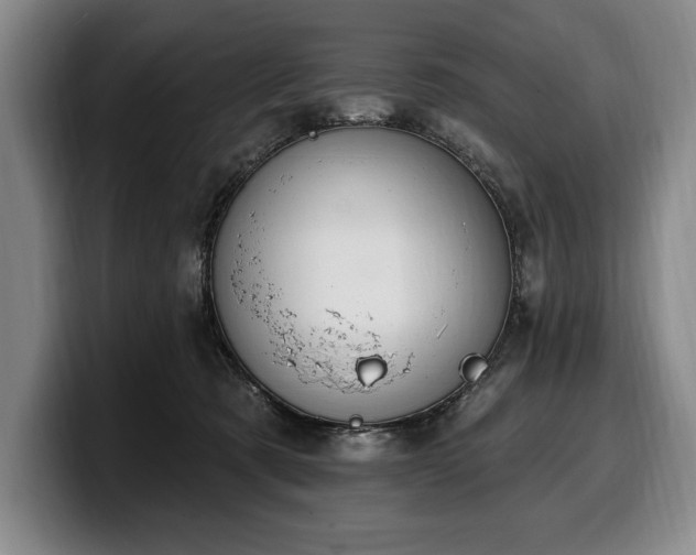 X0000100320321200806051522