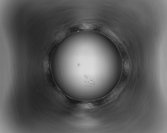 X0000100320322200806051522